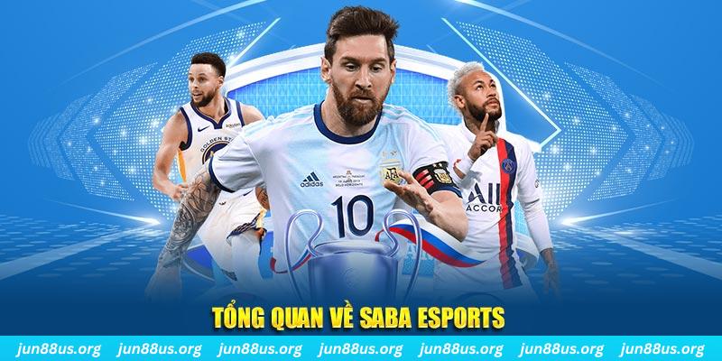 Saba Esports - Nền Tảng Cá Cược Hàng Đầu Dành Cho Bạn 4 Tổng quan về Saba Esports