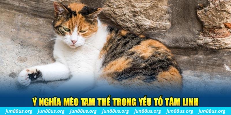 Giải Mã Mơ Thấy Mèo Tam Thể - Mối Liên Hệ Với Các Con Số 4 Ý nghĩa mèo tam thể trong yếu tố tâm linh
