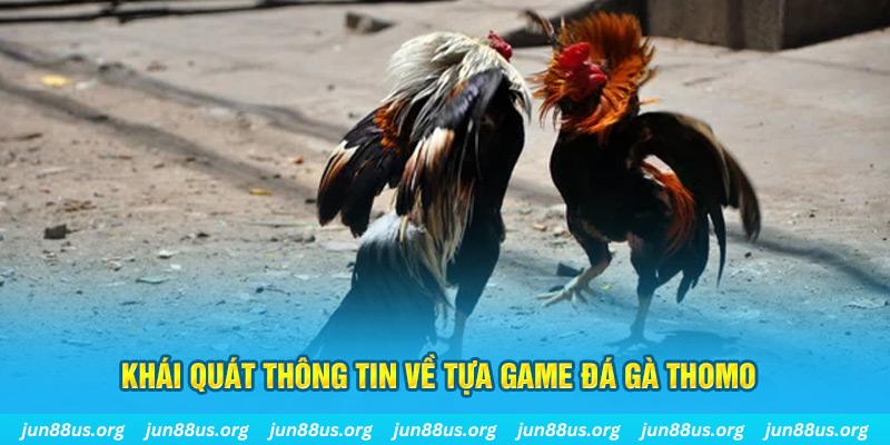 Đá Gà Thomo - Thưởng Thức Các Trận Tranh Tài Kịch Tính 5 Khái quát thông tin về tựa game đá gà Thomo